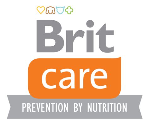 brit care logo